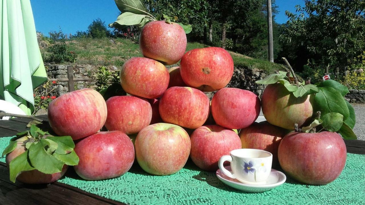 Il Poggio Di Traverde Pontremoli Exteriör bild
